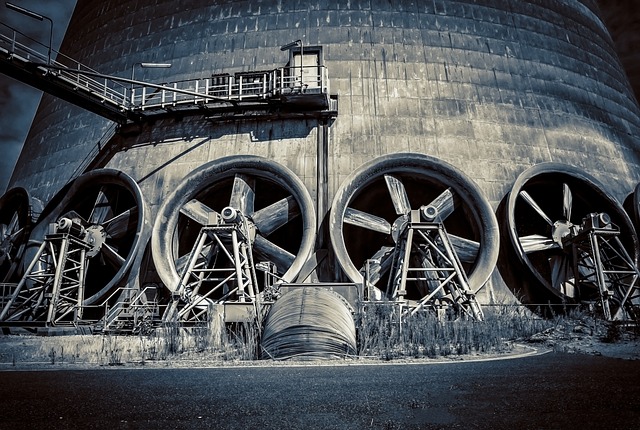 Co zamiast dmuchawy do liści? Co zamiast dmuchawy do liści?