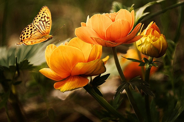 Jak walczyć z owadami w domu? Jak walczyć z owadami w domu?